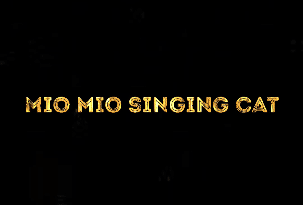 Mio Mio Cats