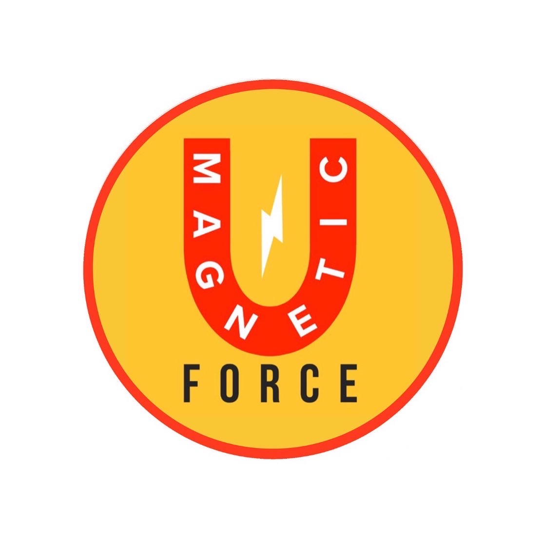 MagneticForce - Profile | OpenSea