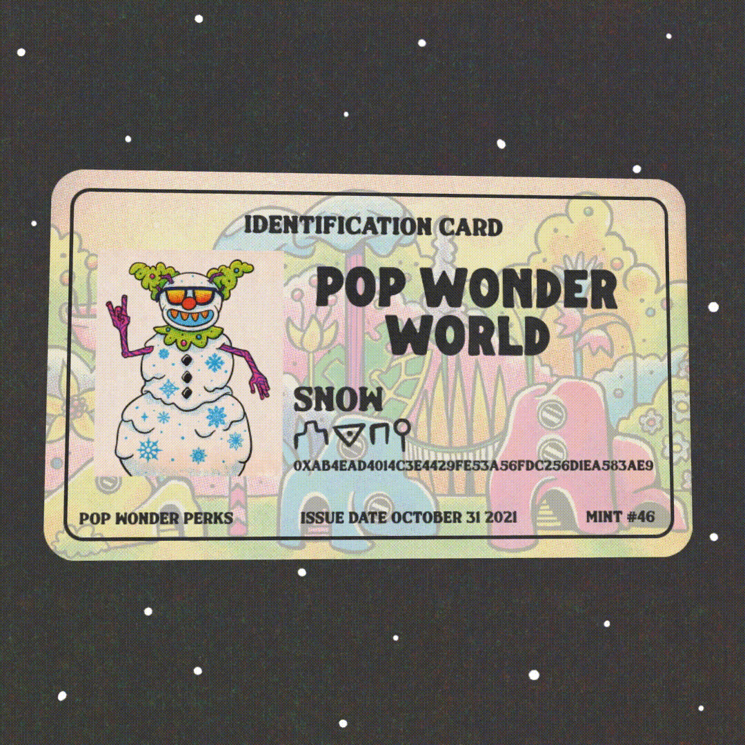 Pop Wonder World Identification Card // snow // Mint #46