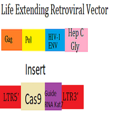 Life Extending Retroviral Vector collection image