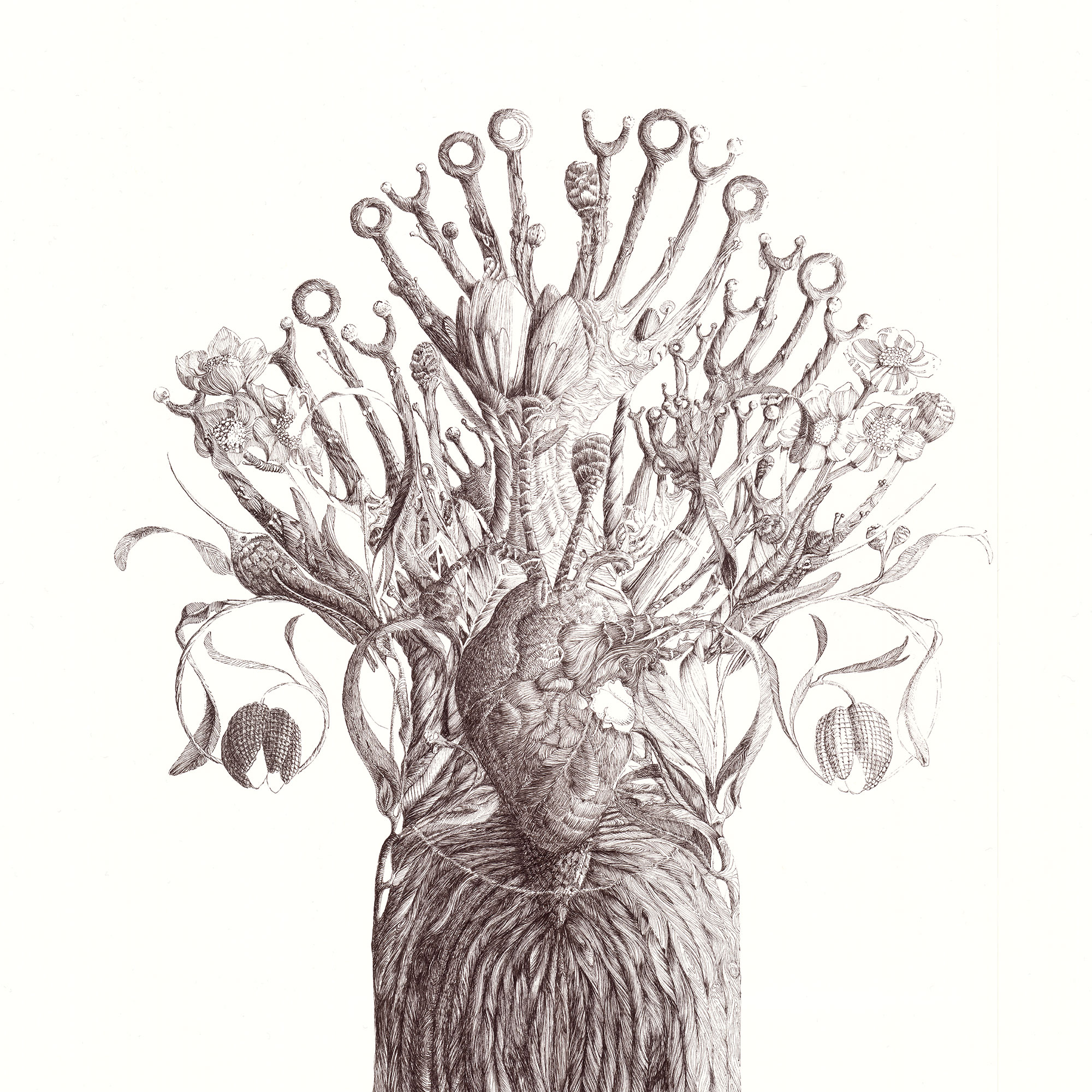 Sketched Tree of Life
