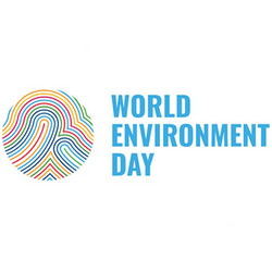 World Environment Day collection image