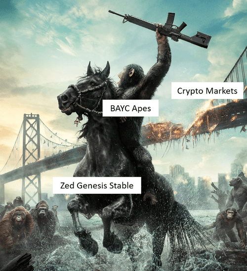 The Crypto Hedge