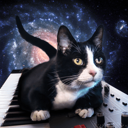 Professor Meowingtons in Space collection image