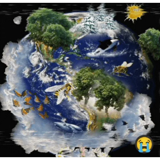 Clean the World