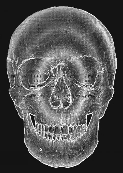 Memento Mori #277