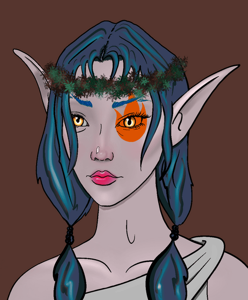 Midnight Elf 50