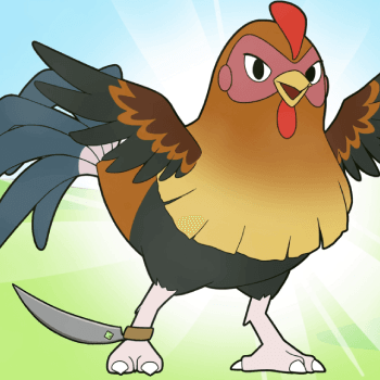 Rooster Wars - Gaffs