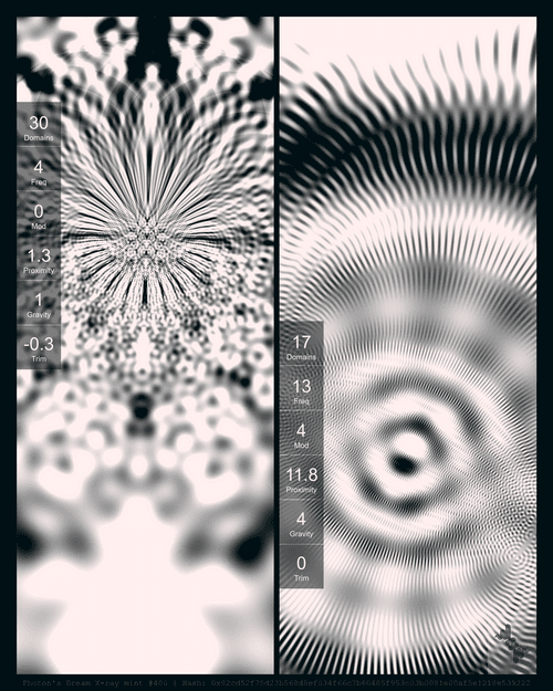 Photon's Dream X-ray mint#400