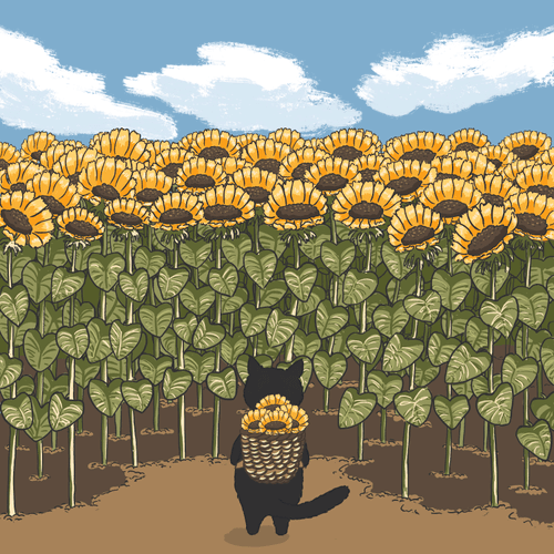 #2 Sunflower Field