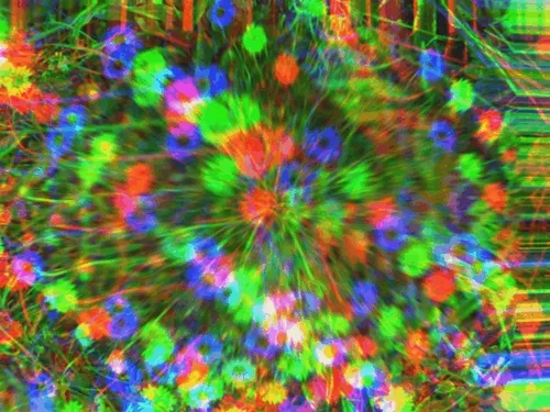 Mindvision 24 - Epileptic Festival