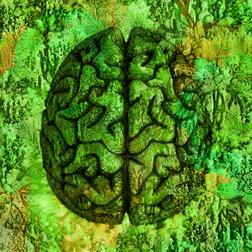 Green Brain