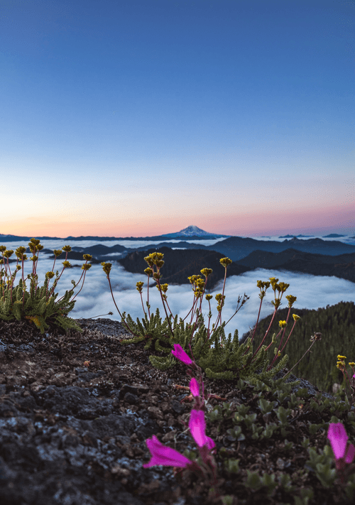 Cloud Inversions