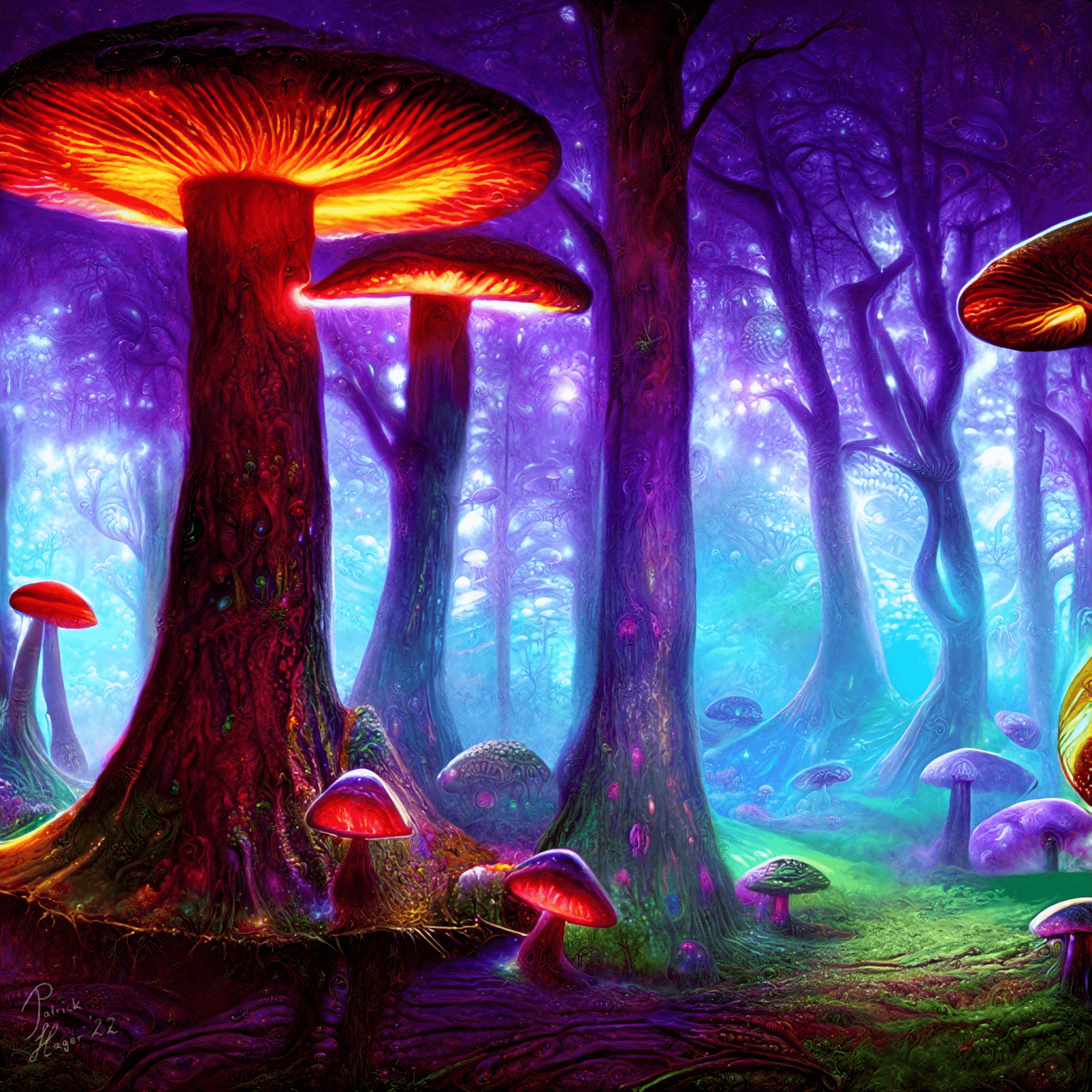 Magic Forest Two