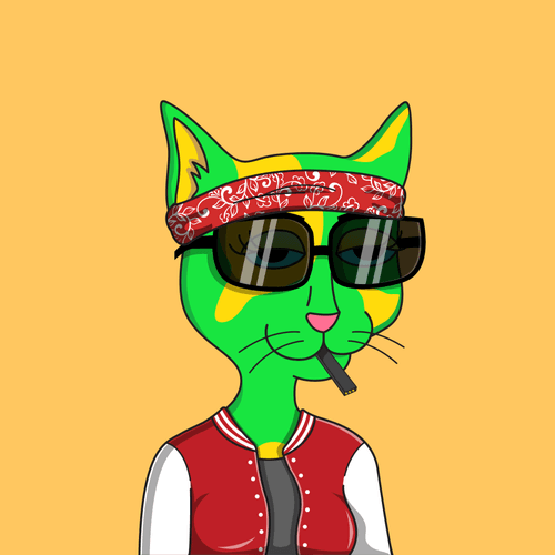 Girl Cat #497