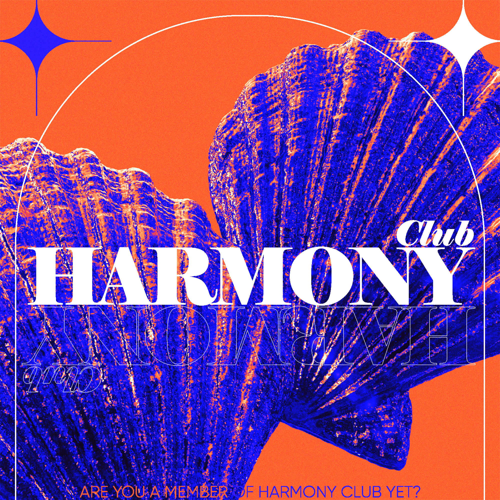 SYQIC#13 Harmony