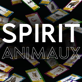 SPIRIT ANIMAUX