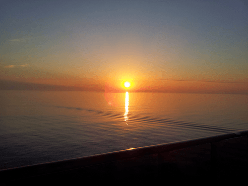 Amateur Dawn