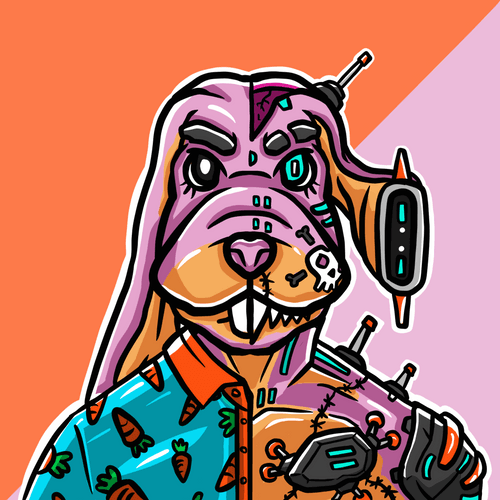 Rabbit / Cyborg (common)