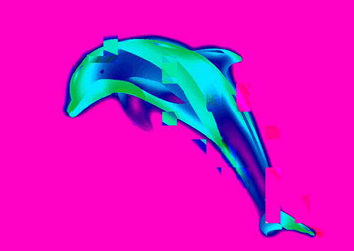NeonDolphin Collection