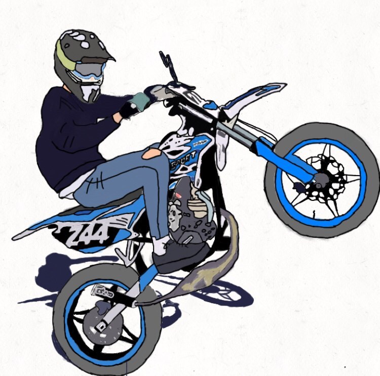 draw test Collection OpenSea