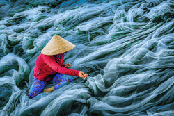 Fishing Nets of Vietnam collection image