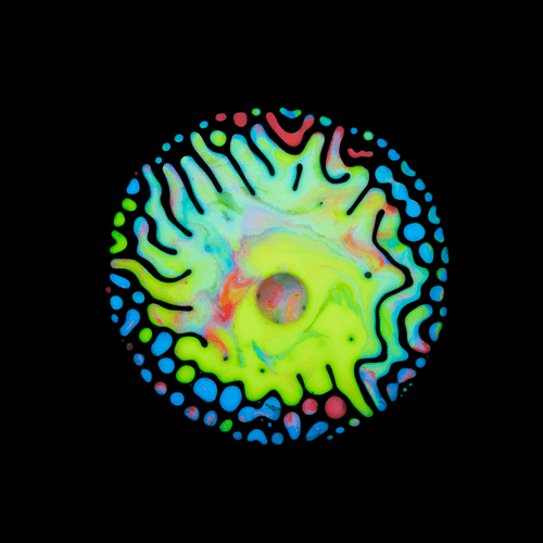 Haematopoiesis #46