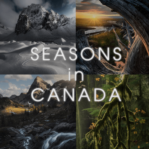 Seasons in Canada - Collection | OpenSea