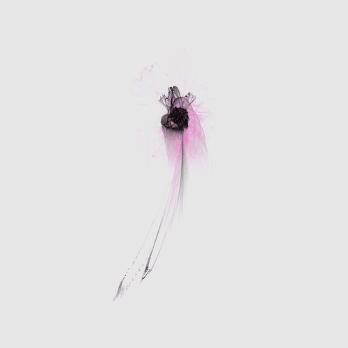 cosine flower 1.9