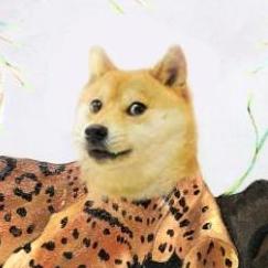 Dogeverse Collection collection image