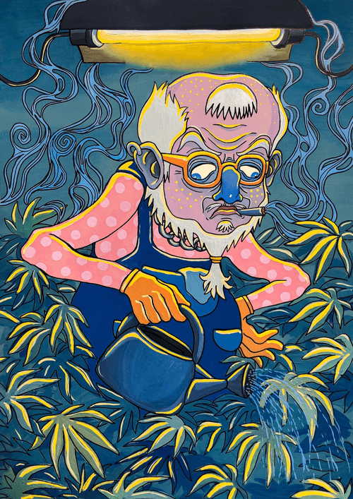 Hash Freak #13 Cannabis connoisseur