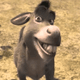 DonkeyFromShrek