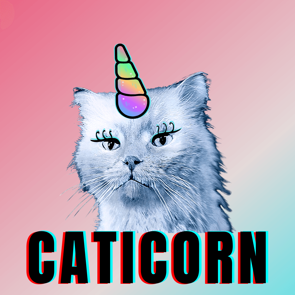 #bluecatmax #14 caticorn