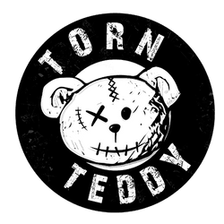 Torn Teddy by The Toy Store collection image