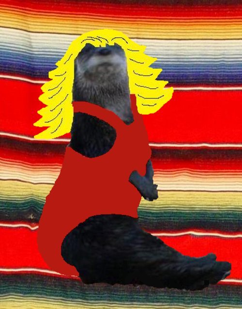 Farrah Fawcett Otter
