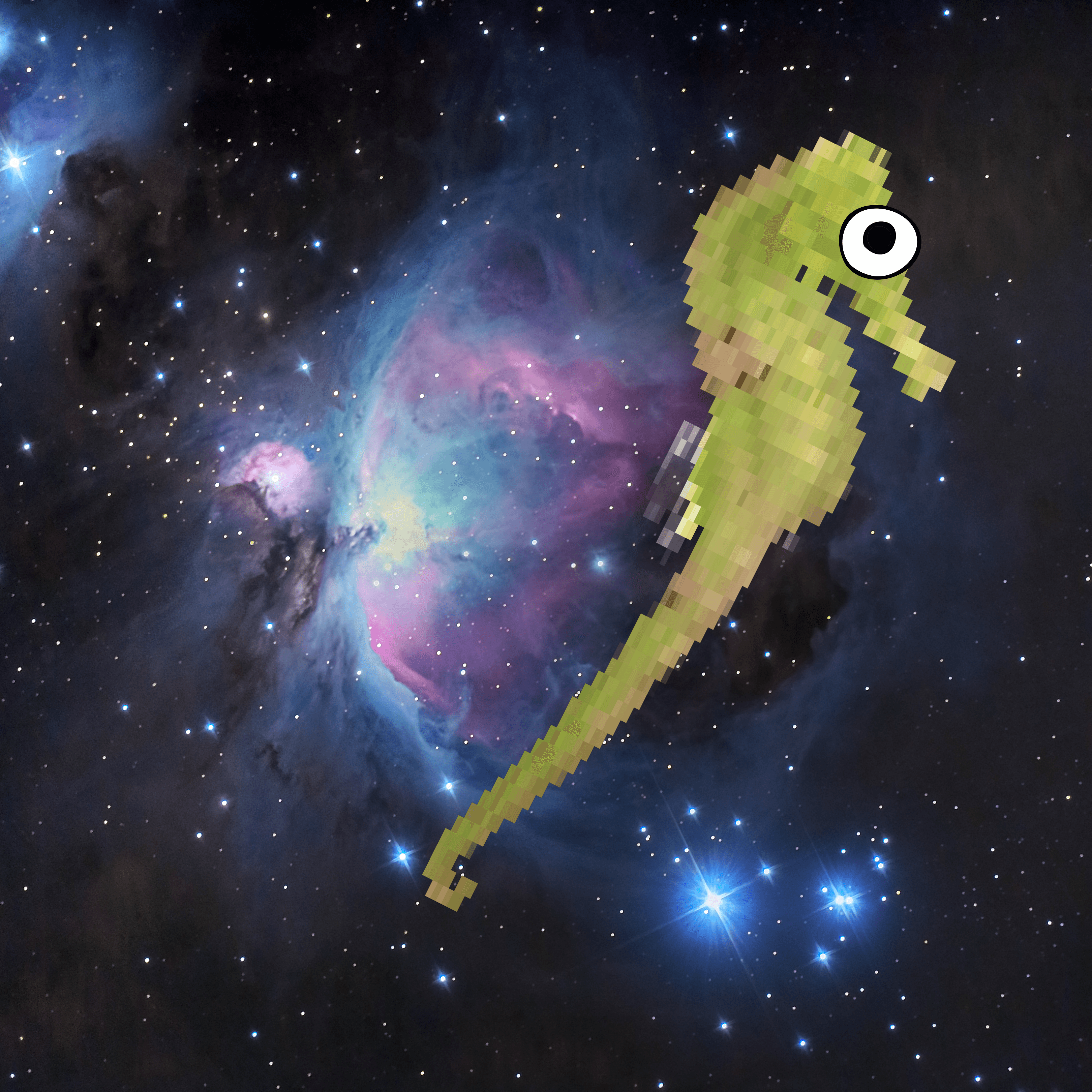 Seahorse in Space XIII