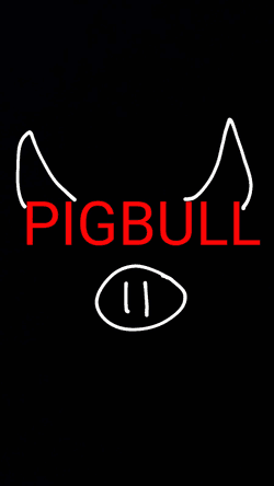 PIGBULLS collection image