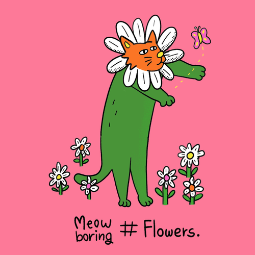 Meow boring # Flowers