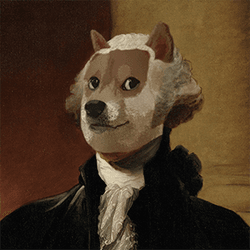 History of the Doge collection image