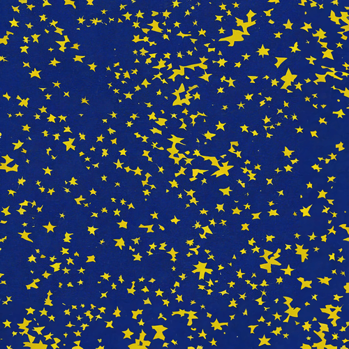 The Starry Night #7