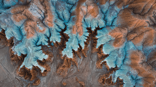EARTH // The First Generative Art Project