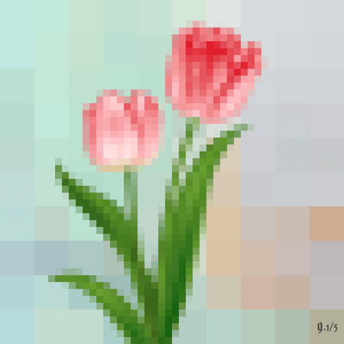 Tulip #9 - Edition 1/5