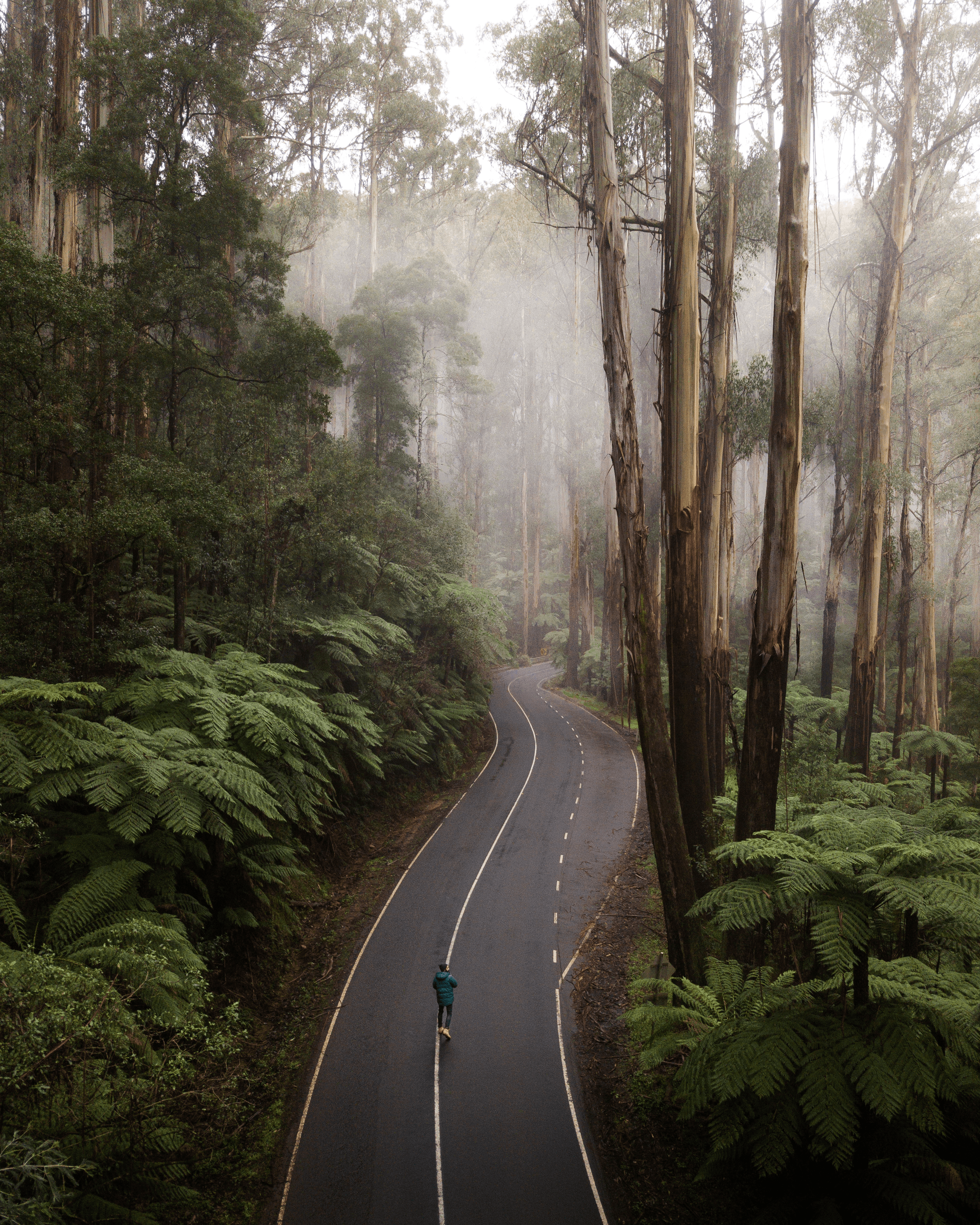 Low Cloud #2