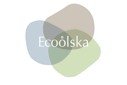 Ecoolska Cyber Legacy collectable cards collection image