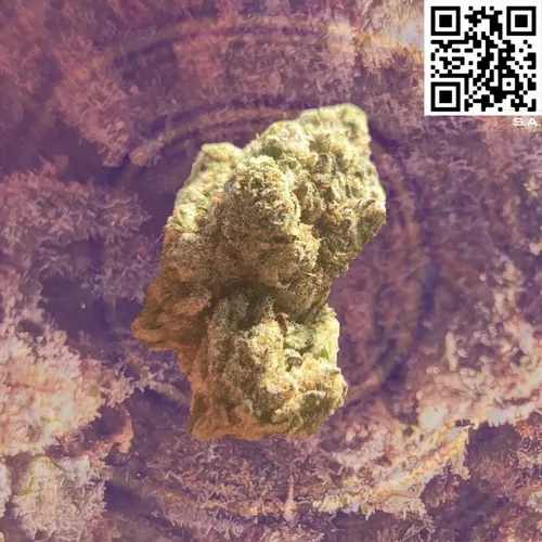 Strain Art- High Vibrations