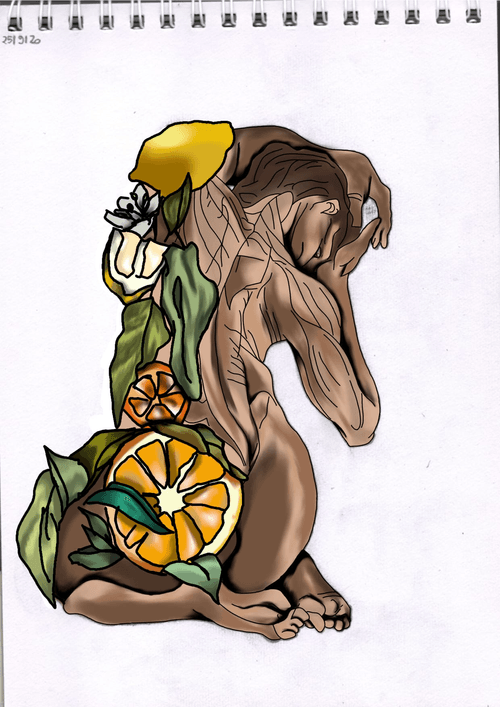 NaturalBodies