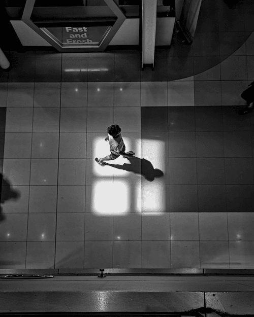A World in Monochrome