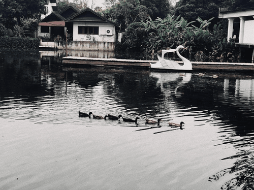 Chiang Mai Thailand #1