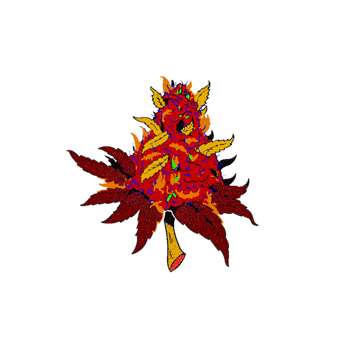 ART DISPENSARY