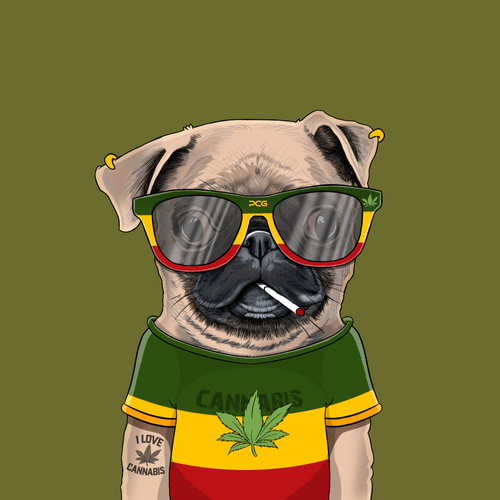 Pug #0049